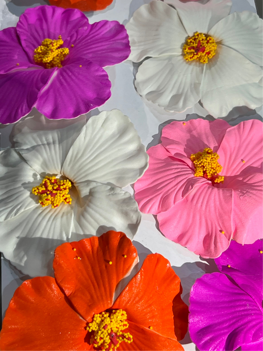 Flor Maga